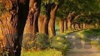 开云体育官方网址查询-探索的前沿，开云体育官方网址查询的灵活魅力